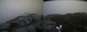 ./images/calvert/buxton2/20171031/buxton220171031_085532M.jpg