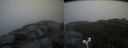 ./images/calvert/buxton2/20171031/buxton220171031_090527M.jpg