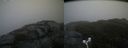 ./images/calvert/buxton2/20171031/buxton220171031_093533M.jpg