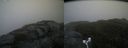 ./images/calvert/buxton2/20171031/buxton220171031_095033M.jpg