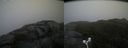 ./images/calvert/buxton2/20171031/buxton220171031_095527M.jpg