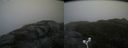 ./images/calvert/buxton2/20171031/buxton220171031_100033M.jpg