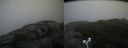 ./images/calvert/buxton2/20171031/buxton220171031_100532M.jpg