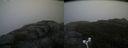 ./images/calvert/buxton2/20171031/buxton220171031_111532M.jpg