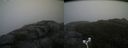 ./images/calvert/buxton2/20171031/buxton220171031_112033M.jpg