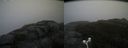 ./images/calvert/buxton2/20171031/buxton220171031_120033M.jpg