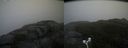 ./images/calvert/buxton2/20171031/buxton220171031_120532M.jpg