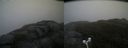 ./images/calvert/buxton2/20171031/buxton220171031_122527M.jpg