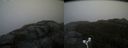 ./images/calvert/buxton2/20171031/buxton220171031_123526M.jpg