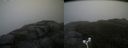 ./images/calvert/buxton2/20171031/buxton220171031_124533M.jpg
