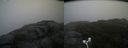 ./images/calvert/buxton2/20171031/buxton220171031_130033M.jpg