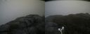 ./images/calvert/buxton2/20171031/buxton220171031_130533M.jpg