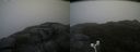 ./images/calvert/buxton2/20171031/buxton220171031_131533M.jpg