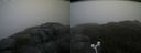 ./images/calvert/buxton2/20171031/buxton220171031_152032M.jpg
