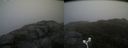 ./images/calvert/buxton2/20171031/buxton220171031_153528M.jpg