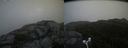 ./images/calvert/buxton2/20171101/buxton220171101_131528M.jpg