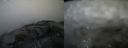 ./images/calvert/buxton2/20180413/buxton220180413_085513M.jpg