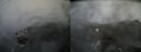 ./images/calvert/buxton2/20180413/buxton220180413_091513M.jpg