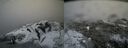 ./images/calvert/buxton2/20180414/buxton220180414_085013M.jpg