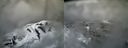 ./images/calvert/buxton2/20180414/buxton220180414_100012M.jpg