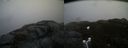 ./images/calvert/buxton2/20180417/buxton220180417_150012M.jpg