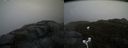 ./images/calvert/buxton2/20180419/buxton220180419_151513M.jpg