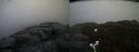 ./images/calvert/buxton2/20180419/buxton220180419_162515M.jpg