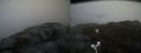 ./images/calvert/buxton2/20180419/buxton220180419_163511M.jpg