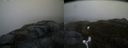 ./images/calvert/buxton2/20180419/buxton220180419_191510M.jpg