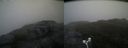 ./images/calvert/buxton2/20180428/buxton220180428_105510M.jpg