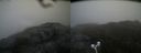 ./images/calvert/buxton2/20180428/buxton220180428_111510M.jpg