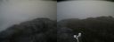 ./images/calvert/buxton2/20180428/buxton220180428_113513M.jpg