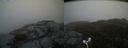 ./images/calvert/buxton2/20180428/buxton220180428_144511M.jpg