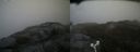 ./images/calvert/buxton2/20180503/buxton220180503_171010M.jpg