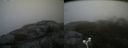 ./images/calvert/buxton2/20180503/buxton220180503_173010M.jpg