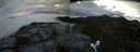./images/calvert/buxton2/20180507/buxton220180507_055511M.jpg
