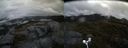 ./images/calvert/buxton2/20180509/buxton220180509_062510M.jpg