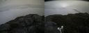 ./images/calvert/buxton2/20180519/buxton220180519_192501M.jpg