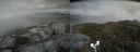 ./images/calvert/buxton2/20180521/buxton220180521_193501M.jpg
