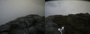 ./images/calvert/buxton2/20180522/buxton220180522_113500M.jpg