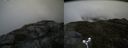 ./images/calvert/buxton2/20180522/buxton220180522_115500M.jpg