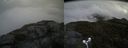./images/calvert/buxton2/20180522/buxton220180522_121001M.jpg