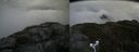 ./images/calvert/buxton2/20180522/buxton220180522_130501M.jpg