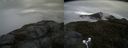 ./images/calvert/buxton2/20180522/buxton220180522_141001M.jpg