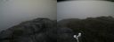 ./images/calvert/buxton2/20180602/buxton220180602_085000M.jpg