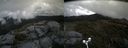 ./images/calvert/buxton2/20180602/buxton220180602_111001M.jpg