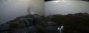 ./images/calvert/buxton2/20180604/buxton220180604_051459M.jpg