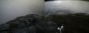 ./images/calvert/buxton2/20180606/buxton220180606_202500M.jpg