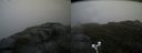 ./images/calvert/buxton2/20180607/buxton220180607_180500M.jpg
