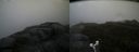 ./images/calvert/buxton2/20180607/buxton220180607_194459M.jpg
